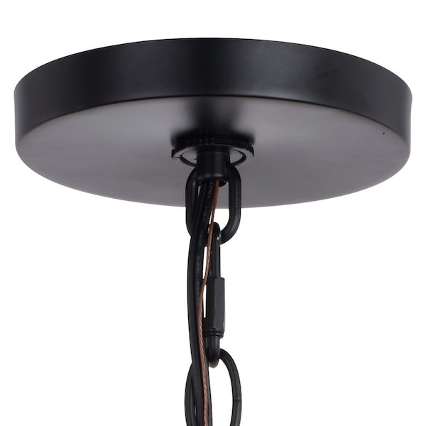 Grant 7-in Black Indoor Outdoor Farmhouse Mini Pendant Lantern 1-Light